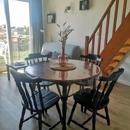 Charmant Duplex Au Port De Plaisance Daire